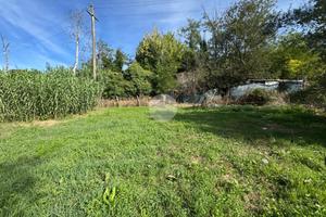 TER. AGRICOLO A MONTEROTONDO