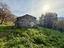 Immagine 22