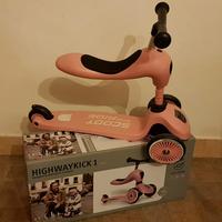 Monopattino triciclo reversibile