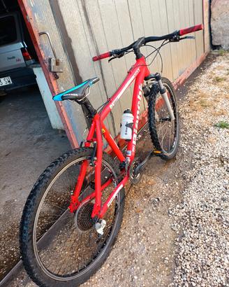 MTB bianchi