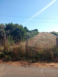 San cesareo: terreno agricolo di 10.000 mq