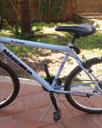 Mountain bike
