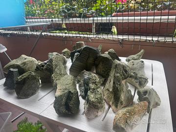 Rocce/legni e accessori per acquario
