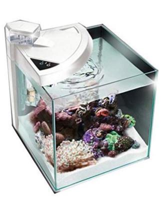 Acquario newa 30 Marino bianco in garanzia