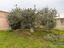 Immagine 26