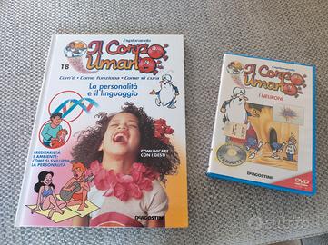 Collezione corpo umano