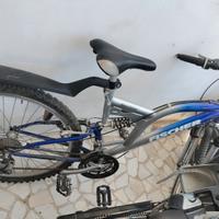 bicicletta maschile adulto