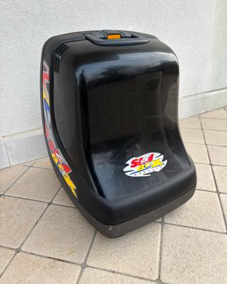 Ski box porta scarponi Roncato
