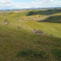 Lotti terreno uso orto giardino