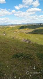 Lotti terreno uso orto giardino
