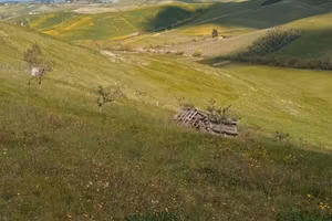 Lotti terreno uso orto giardino