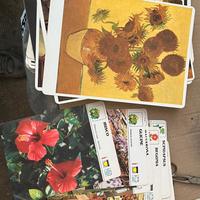 Fotografie fiori piante e quadri