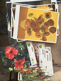 Fotografie fiori piante e quadri