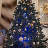 albero natale