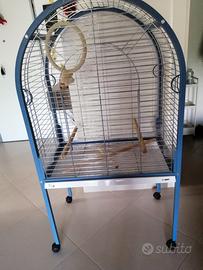 Voliera per pappagalli