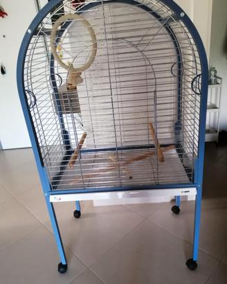 Voliera per pappagalli