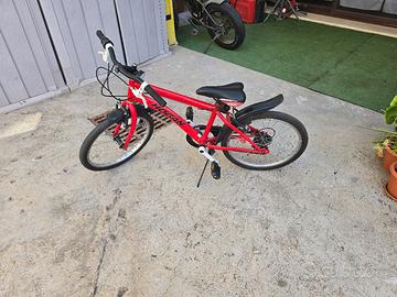 bici da bambino 20 pollici
