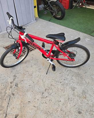 bici da bambino 20 pollici