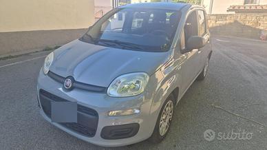 Panda 1.2 69 CV anno 2017 BUONISSIMO PREZZO !