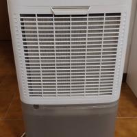 Deumidificatore Olimpia Splendid Acquario S1 20 P 