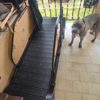 tapis per cani