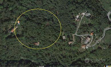 Terreni con legna da ardere