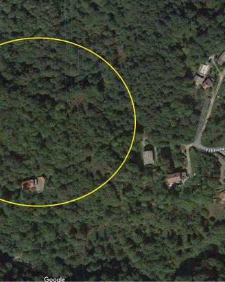 Terreni con legna da ardere
