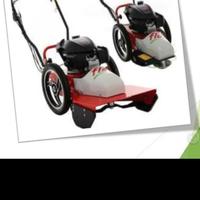 Bluebird Flo 6 con motore honda