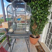 voliera per pappagalli 