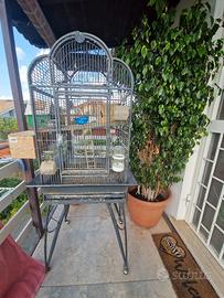 voliera per pappagalli 