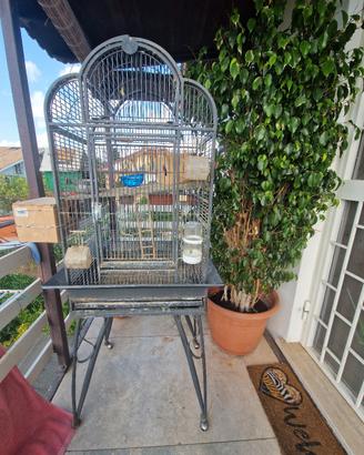 voliera per pappagalli 