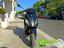 Immagine 26
