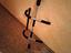 Immagine 2
