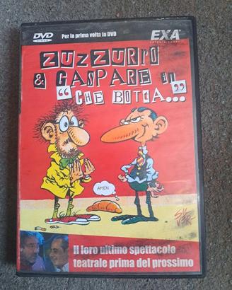 DVD Zuzzurro e Gaspare Che Botta