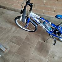 Mountain Bike usata maschietto raggio 20 senza cam