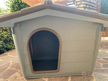 Cuccia cagnolone 