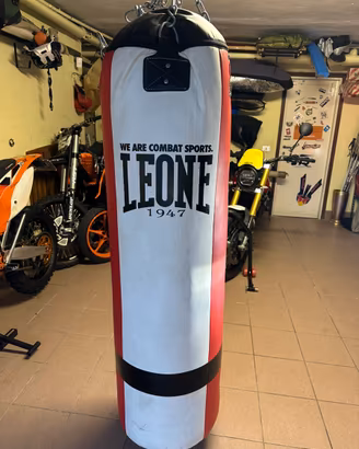 Sacco leone 60 kg