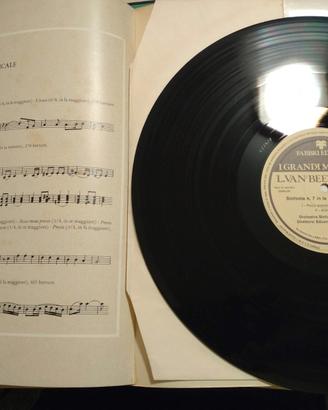 Dischi in vinile 33 giri vari parte 2