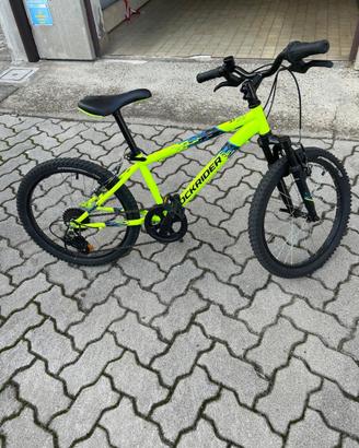 Bicicletta 20 pollici