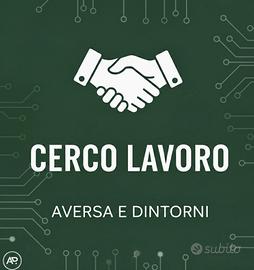 Collaboratore