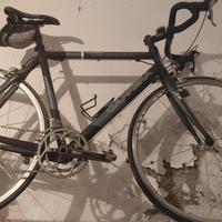 Bici corsa pro Carrera