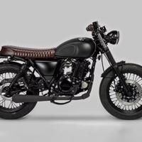 Mutt mongrel 250