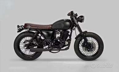 Mutt mongrel 250