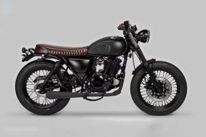 Mutt mongrel 250