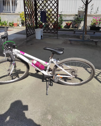 Mountain bike