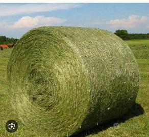 Rotoli erba medica
