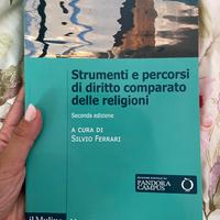 Strumenti e percorsi di diritto comparato religion