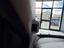 Immagine 19