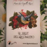 Libro Anna dai Capelli Rossi Volume 7 La Valle
