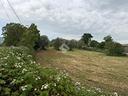 ter-agricolo-a-san-cesareo